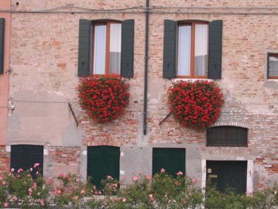 by Andrea Amato
