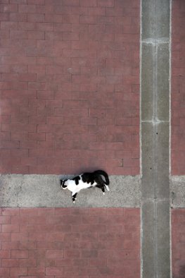 by Julien Lelievre