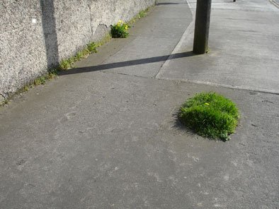 by Ronan Dillon