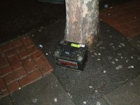 182_bat01.jpg