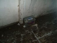 182_bat05.jpg