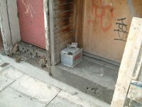 182_bat21.jpg