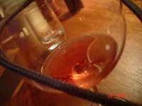 184_annafidalgo.jpg