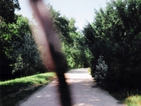 184_cstrap01.jpg