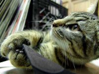 184_danielpagan.jpg