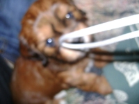184_dsc02615.jpg