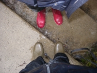 184_wales2007.jpg