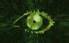 243_background-2.jpg