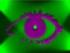 243_picture-4.jpg