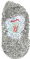 Cory Anohewy 252_coryanohewysm.jpg