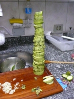 389_food-play.jpg