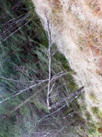 389_supportingnature.jpg