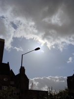 491_224sunlight.jpg