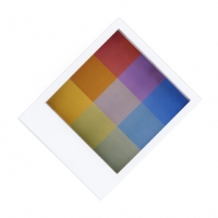 491_292polaroid.jpg