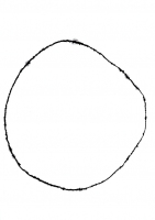 Phoebr Halstead 495_webphoebr-halstead.jpg
