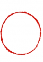 Tim King 495_webtim-king.jpg