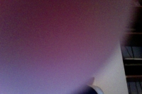 496_foto-del-14-11-11-alle-1833.jpg