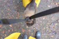 https://www.eatock.com/files/gimgs/th-184_184_dscf0583.jpg