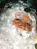 https://www.eatock.com/files/gimgs/th-218_218_010.jpg