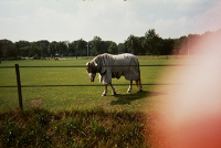 https://www.eatock.com/files/gimgs/th-496_496_-0011.jpg