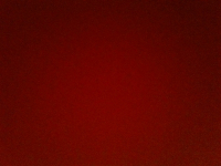 https://www.eatock.com/files/gimgs/th-496_496_guillaumefau.jpg
