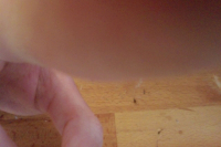 https://www.eatock.com/files/gimgs/th-496_496_handyfall.jpg