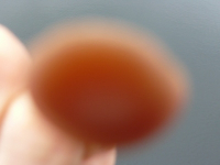https://www.eatock.com/files/gimgs/th-496_496_p1150786.jpg