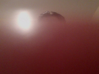 https://www.eatock.com/files/gimgs/th-496_496_photo-on-2012-01-22-at-1929-2.jpg