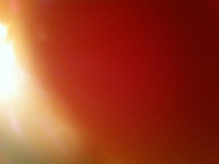 https://www.eatock.com/files/gimgs/th-496_496_photo_v2.jpg