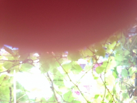 https://www.eatock.com/files/gimgs/th-496_496_photo_v5.jpg